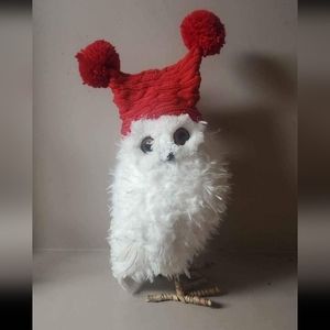 Snowy Owl With Hat